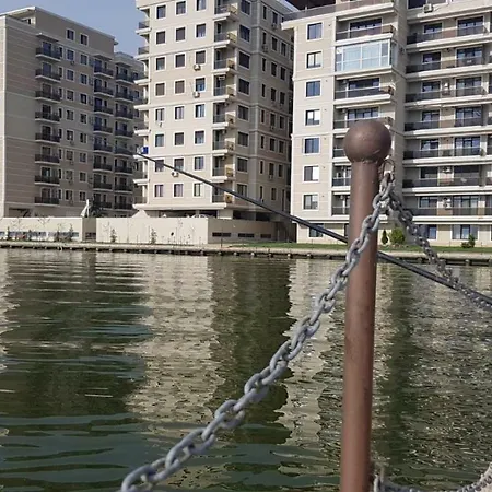 Solid * Mamaia
